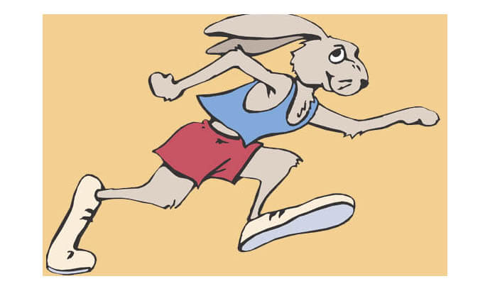 ‘Running Rabbits’?